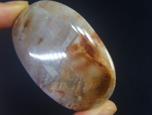 규화목(나무화석 )수정