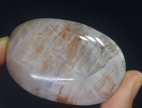 규화목(나무화석 )수정