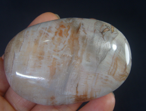 규화목(나무화석 )수정