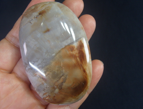 규화목(나무화석 )수정