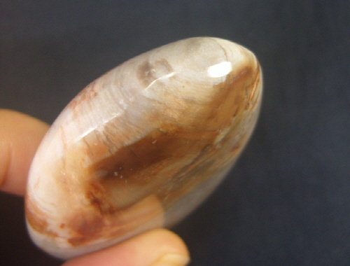 규화목(나무화석 )수정