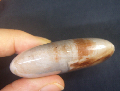 규화목(나무화석 )수정