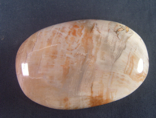 규화목(나무화석 )수정