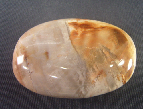 규화목(나무화석 )수정