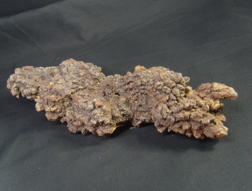 아프리카 똥 화석 (코프로라이트)