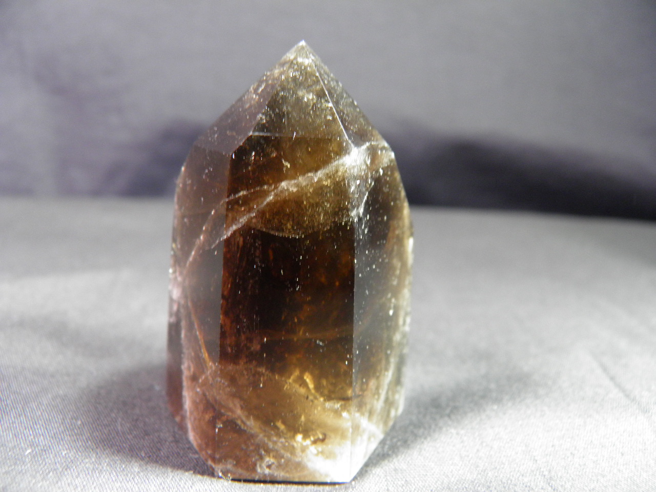 아프리카 연수정