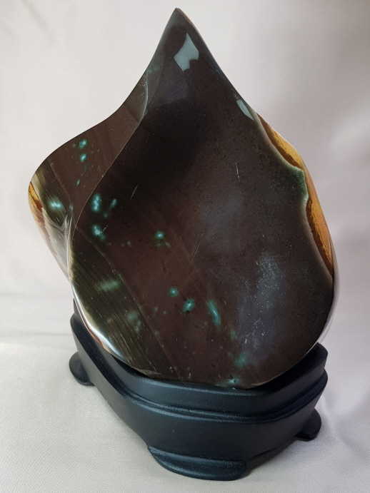 픽쳐(Picture) 자스파