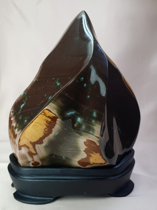 픽쳐(Picture) 자스파