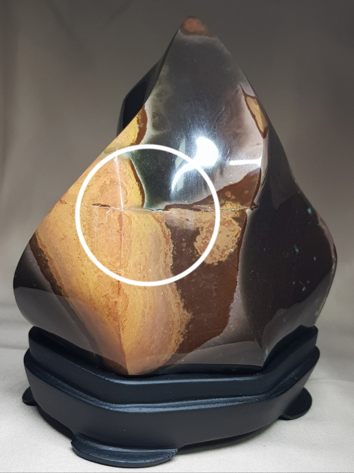 픽쳐(Picture) 자스파