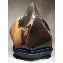 픽쳐(Picture) 자스파