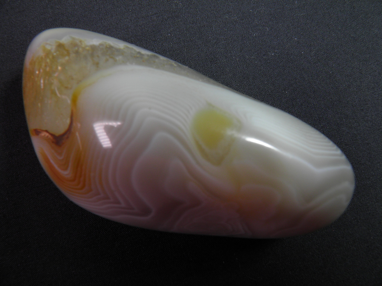 블루레이스 아게이트