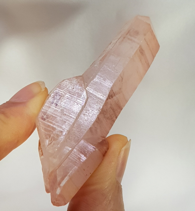 레무리안 더블포인트