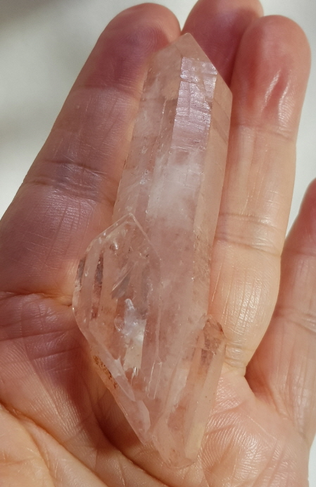 레무리안 더블포인트