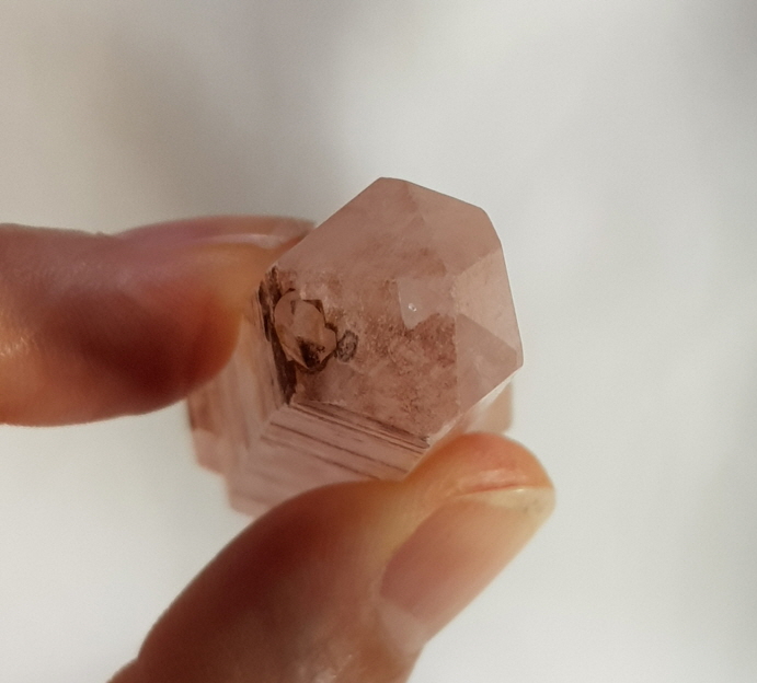 레무리안 더블포인트