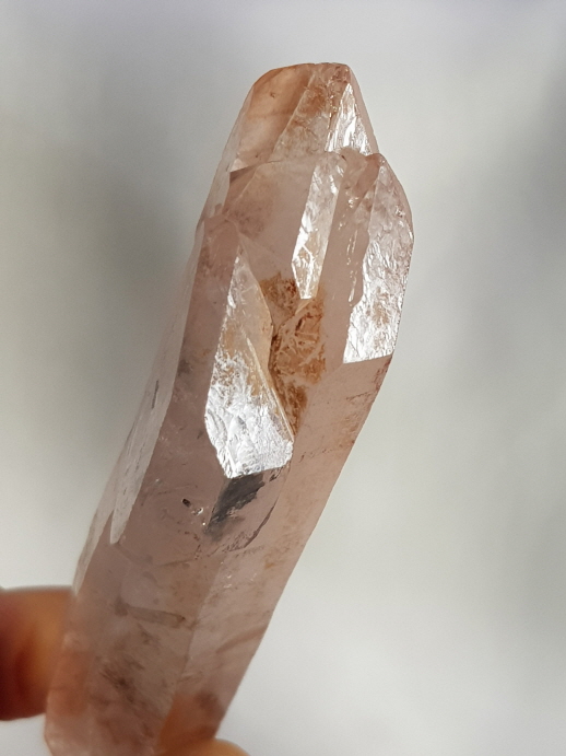 레무리안 더블포인트