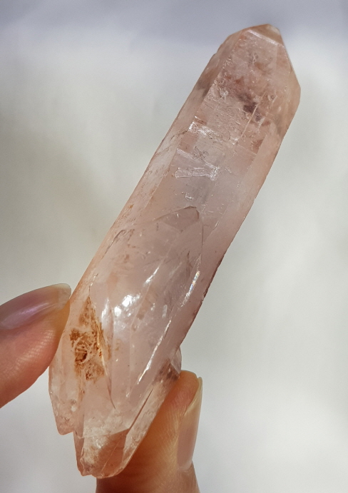 레무리안 더블포인트