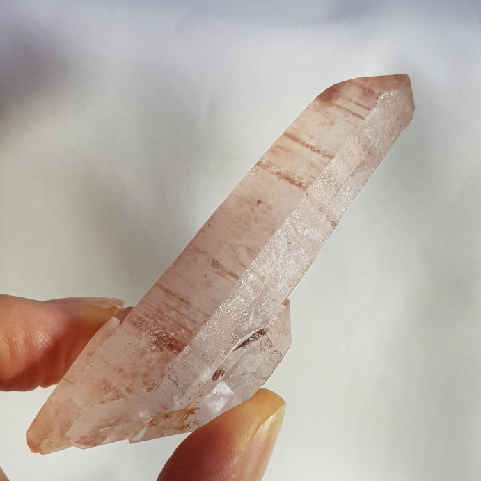 레무리안 더블포인트