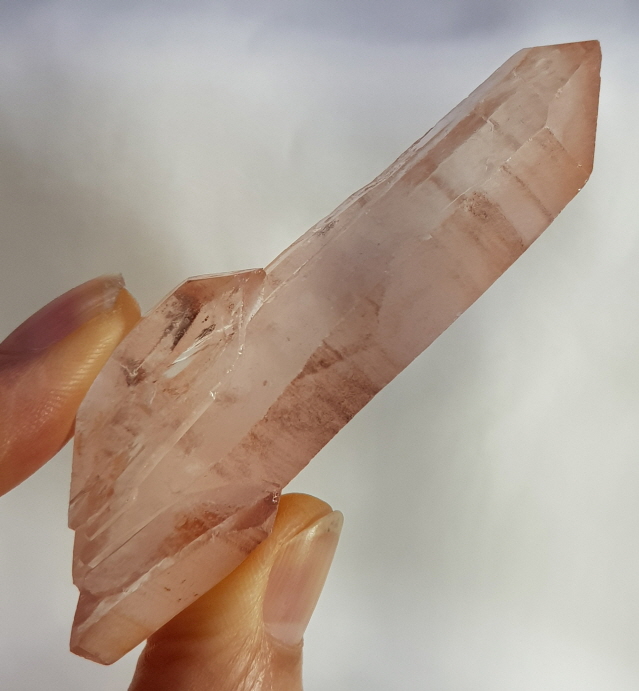 레무리안 더블포인트