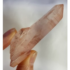 레무리안 더블포인트