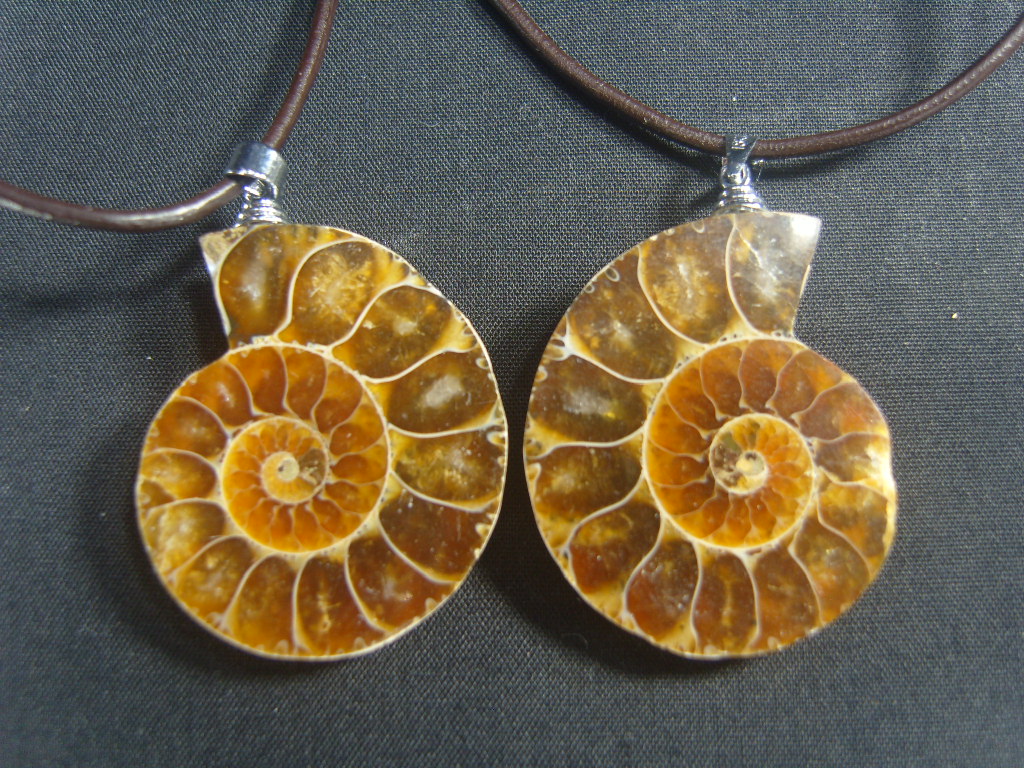 아프리카 암모나이트 화석 펜던트