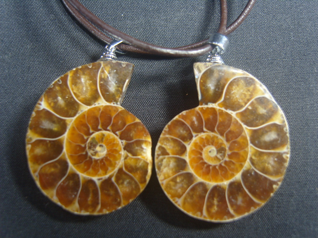 아프리카 암모나이트 화석 펜던트