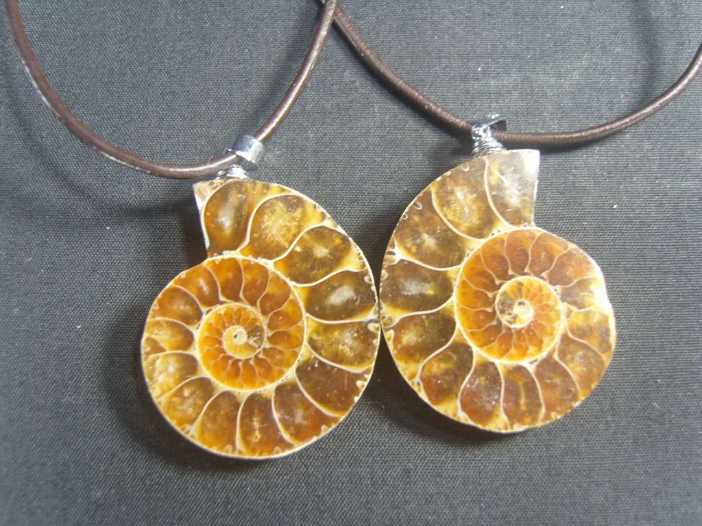 아프리카 암모나이트 화석 펜던트