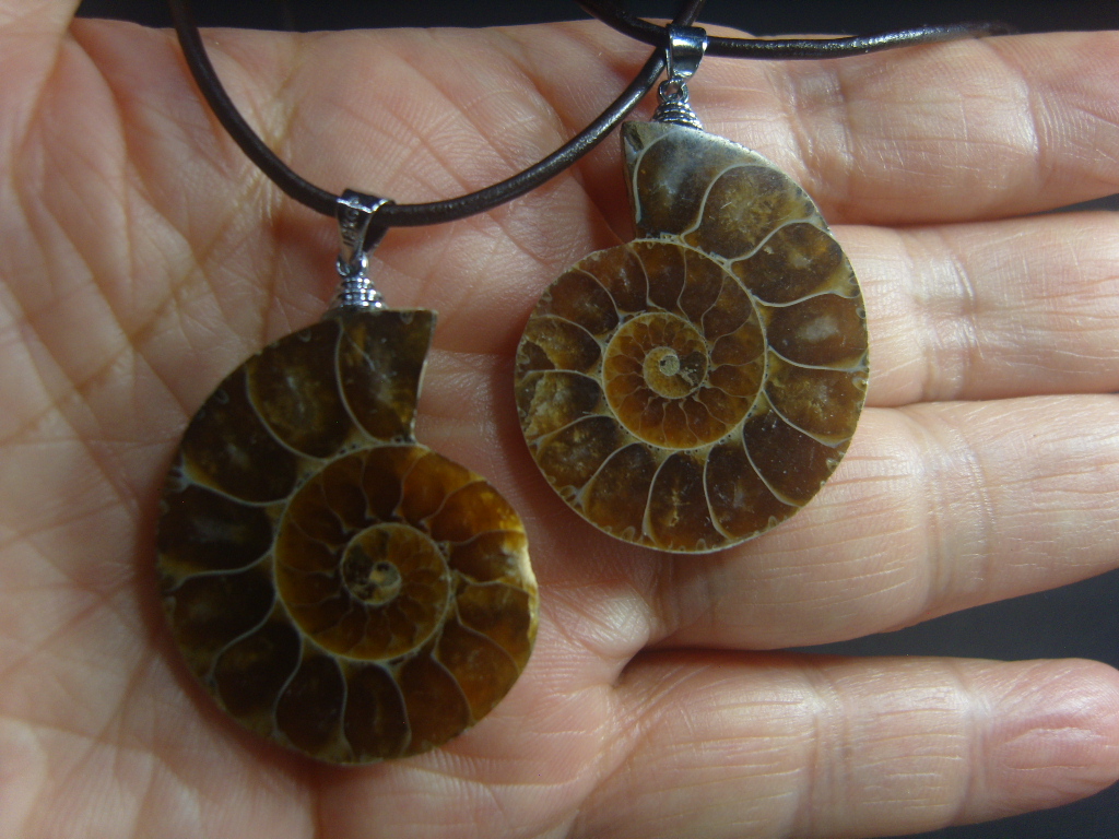 아프리카 암모나이트 화석 펜던트