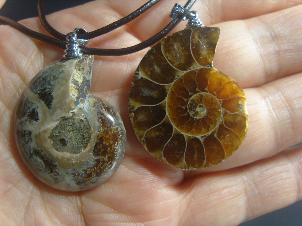 아프리카 암모나이트 화석 펜던트