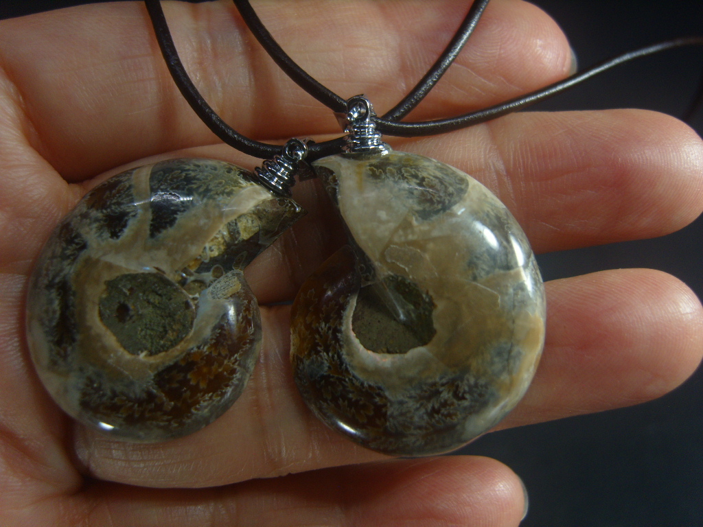 아프리카 암모나이트 화석 펜던트