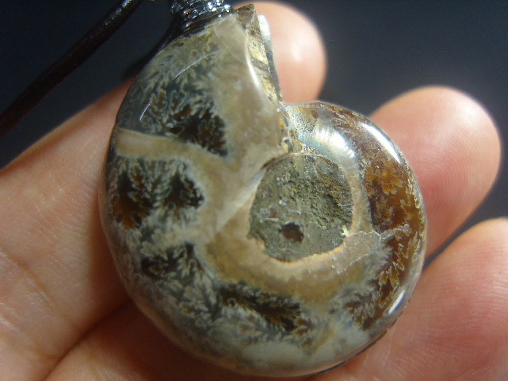 아프리카 암모나이트 화석 펜던트