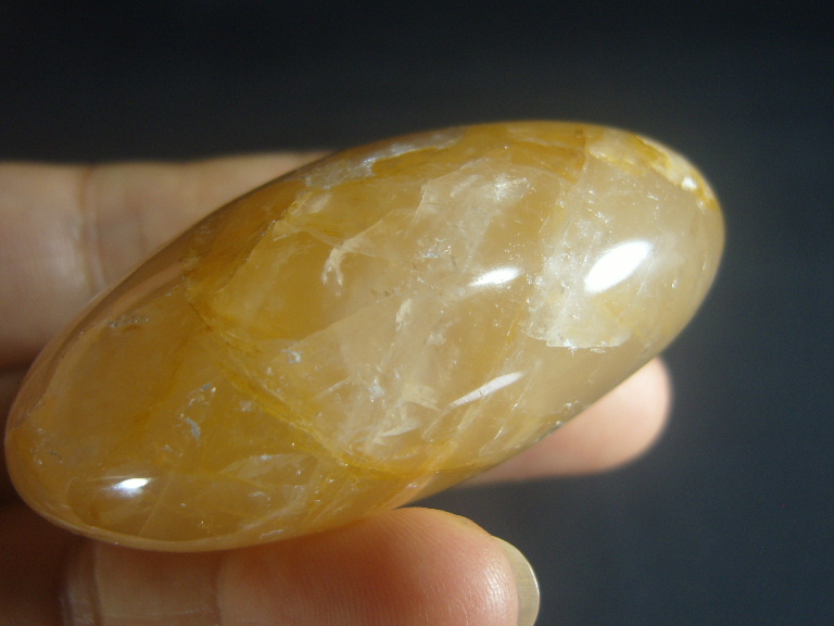 아프리카 오렌지 헤마토이드