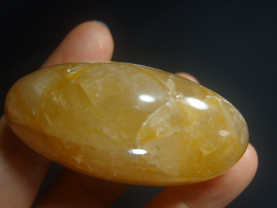 아프리카 오렌지 헤마토이드