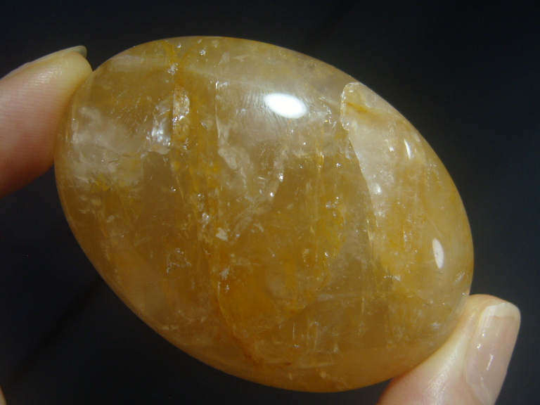 아프리카 오렌지 헤마토이드