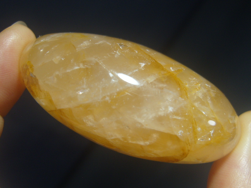 아프리카 오렌지 헤마토이드