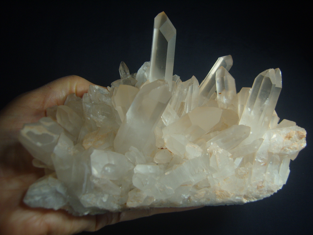 핑크레무리안클러스터