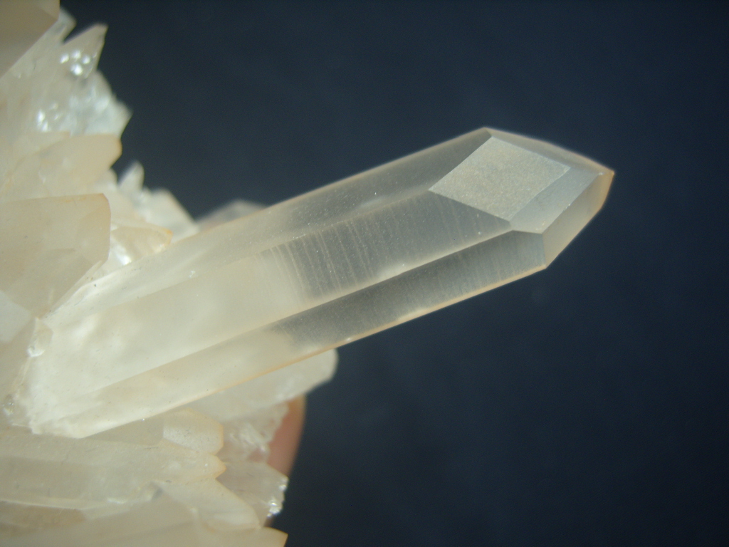 핑크레무리안클러스터