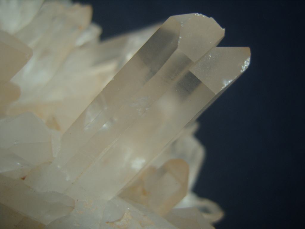 핑크레무리안클러스터