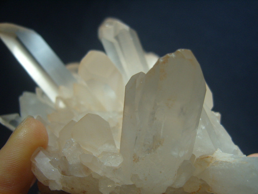 핑크레무리안클러스터