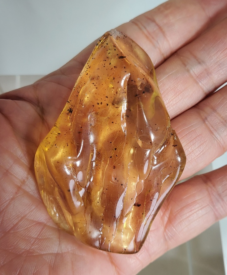 아프리카 호박 화석