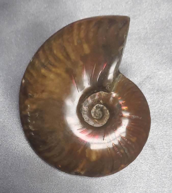 오팔 암몰라이트