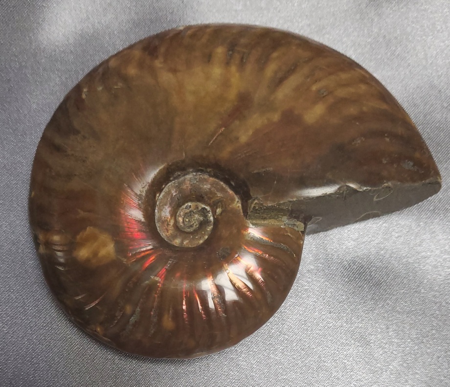 오팔 암몰라이트