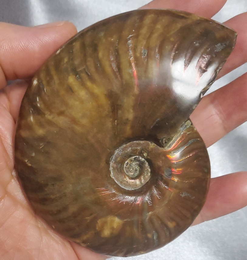 오팔 암몰라이트