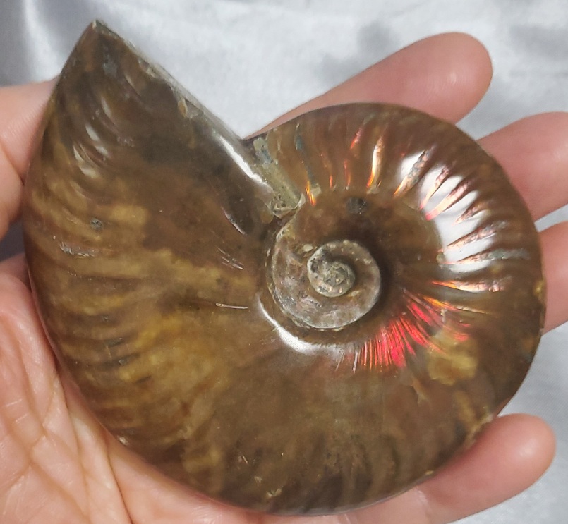 오팔 암몰라이트