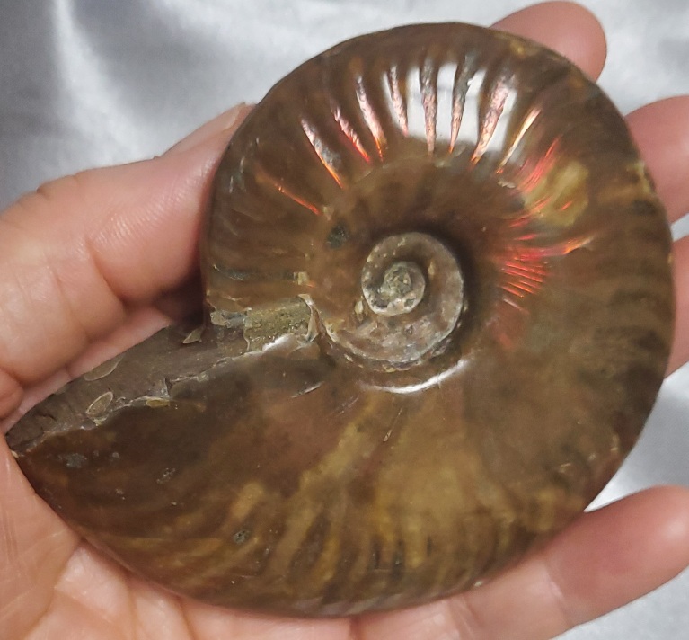 오팔 암몰라이트