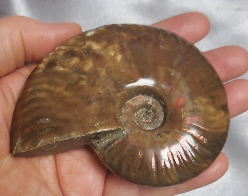 오팔 암몰라이트