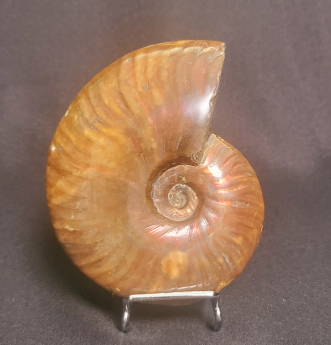 오팔 암몰라이트