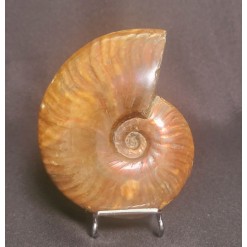 오팔 암몰라이트