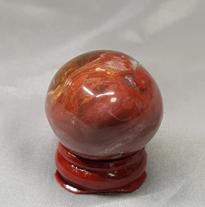 나무화석 작은 지오드