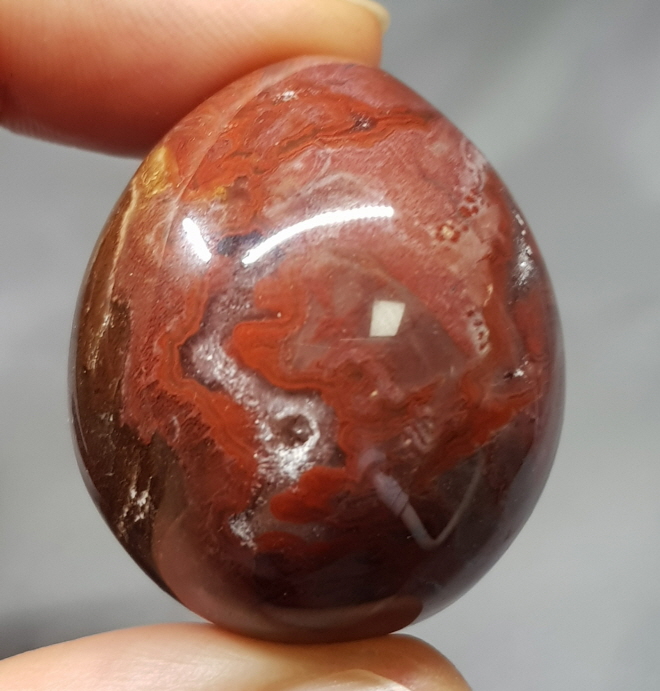 나무화석 작은 지오드