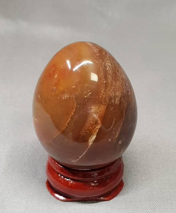 규화목  작은 계란 형